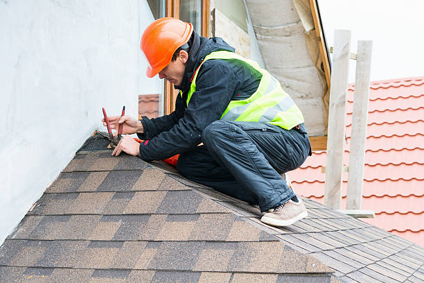 Roof Gutter Cleaning in Tignall, GA