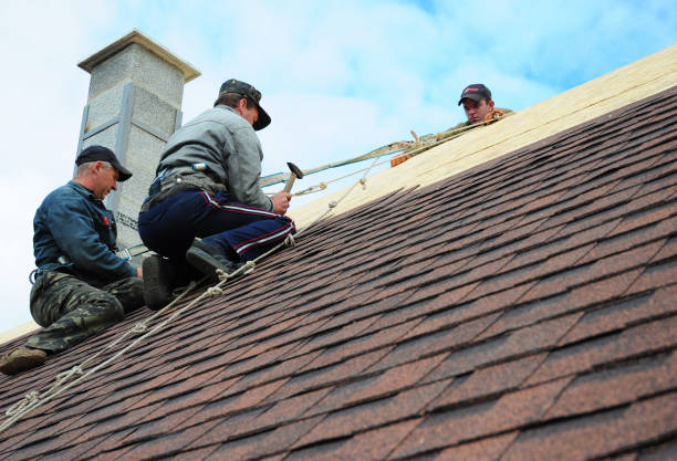 Best Shingle Roofing Installation  in Tignall, GA